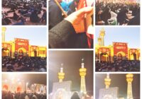خادم حضرت خورشید به آغوش امامش آمد
