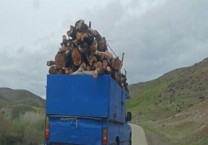 بازداشت عامل حمله به جنگلبانان در فومن
