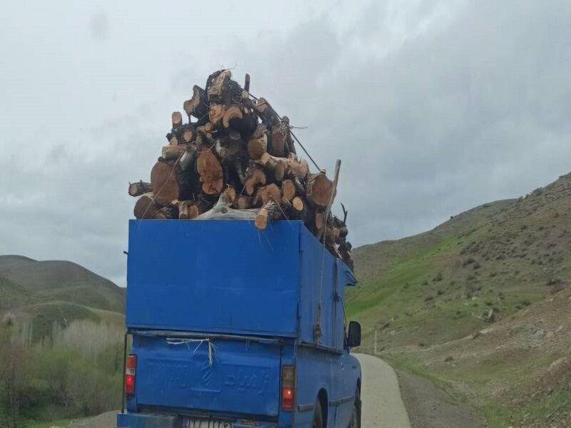 بازداشت عامل حمله به جنگلبانان در فومن