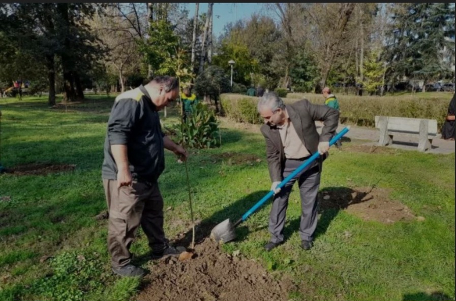 نجات محیط زیست و حفاظت از گونه های ارزشمند گیاهی برای نسل های آینده ،مسئولیت اجتماعی است