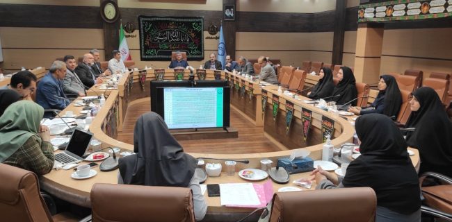 بهره‌وری از سمن‌های فعال جوانی جمعیت تقویت شود
