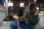 تخصیص اعتبار یک همتی برای نوسازی شالیکوبی های گیلان