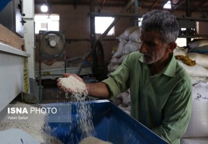 تخصیص اعتبار یک همتی برای نوسازی شالیکوبی های گیلان