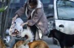 دلسوزی‌های نابه‌جا؛ مانعی بر سر راه مدیریت اصولی سگ‌های بلاصاحب