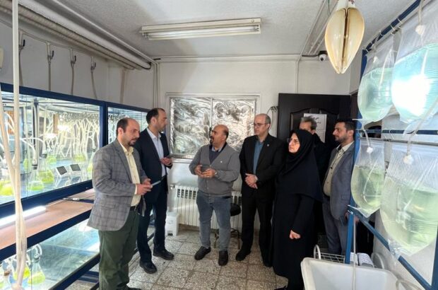 گامی نوین در بهره‌گیری از ظرفیت‌های دانش‌بنیان