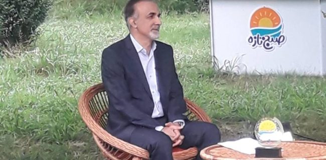 دغدغه های مالی فرزندآوری کاهش یافت/ هزینه ۲۵ میلیاردی بیمه سلامت برای زوجین نابارور گیلان
