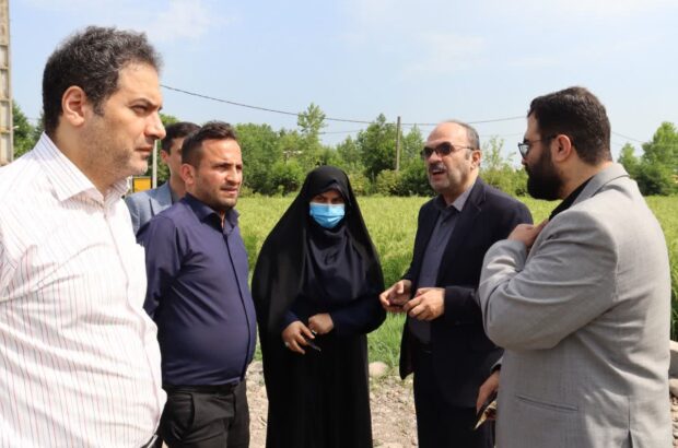 فرماندار خمام خواستار همکاری و تعامل نزدیک‌تر دستگاه‌های اجرایی برای تسریع در روند مطالعات و اجرای پروژه‌های صنعتی خمام شد
