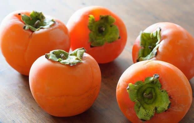 خرمالوی گیلان؛ از پیش بینی برداشت ۲۹۰۰ تنی تا مبارزه غیرشیمیایی با مگس میوه