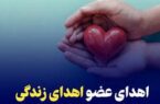 نوزدهمین اهدای عضو استان گیلان در سال جاری محقق شد