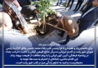 یلدا در رشت سبز شد یلدا در رشت سبز شد