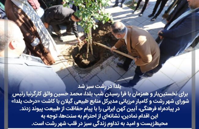 یلدا در رشت سبز شد