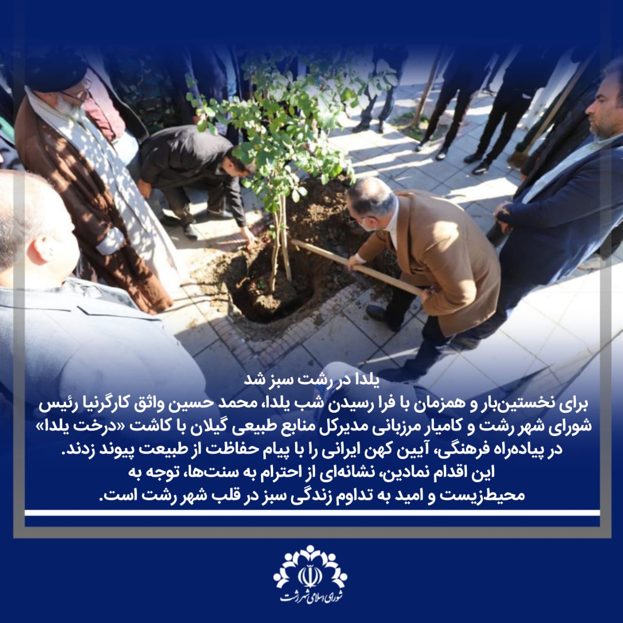 یلدا در رشت سبز شد