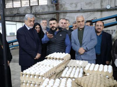 اولین واحد بسته‌بندی مکانیزه تخم‌مرغ گیلان در بخش کوچصفهان افتتاح شد