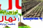 توزیع رایگان یک میلیون ودویست هزار نهال در بین مردم