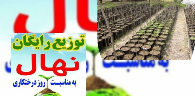 توزیع رایگان یک میلیون ودویست هزار نهال در بین مردم