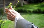 کاشت ۸۷ اصله نهال در گیلان به یاد ۸۷ سال عمر با برکت رهبر شهید