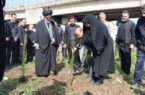 87 اصله نهال درخت به مناسبت 87 سالگی رهبر شهید انقلاب در خمام کاشته شد