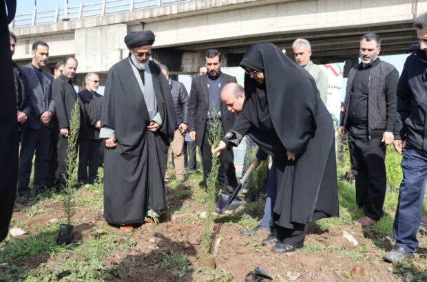 87 اصله نهال درخت به مناسبت 87 سالگی رهبر شهید انقلاب در خمام کاشته شد