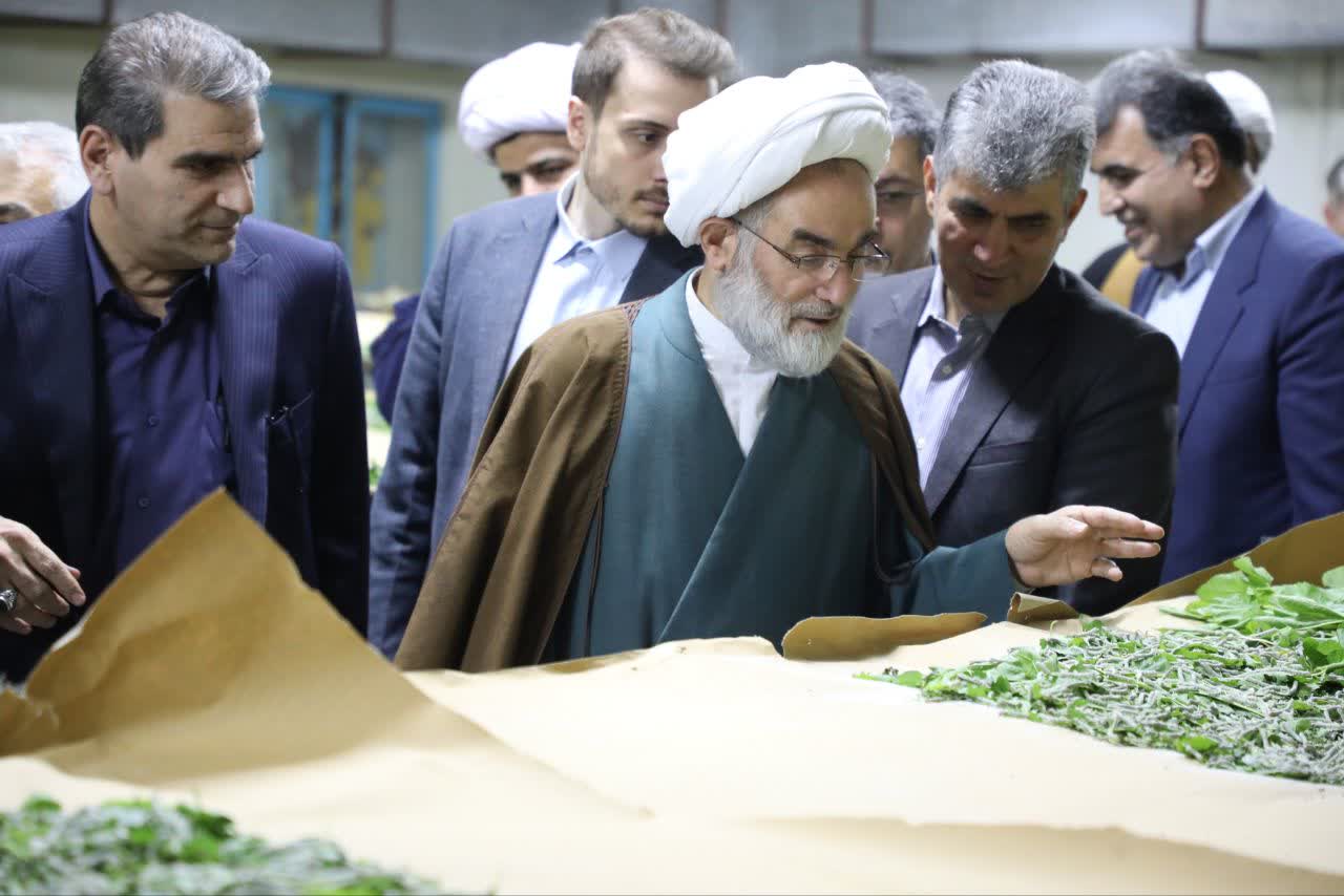 احیای نوغانداری تقویت اقتصاد روستاهای گیلان را به دنبال دارد