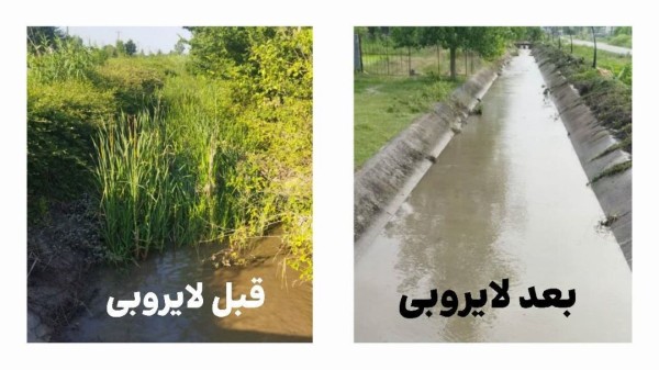 لایروبی کانال BP1 در گیلان گامی مؤثر در افزایش راندمان انتقال آب زراعی