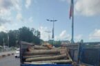 چوب آلات قاچاق در لاهیجان کشف وضبط شد