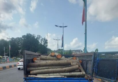 چوب آلات قاچاق در لاهیجان کشف وضبط شد