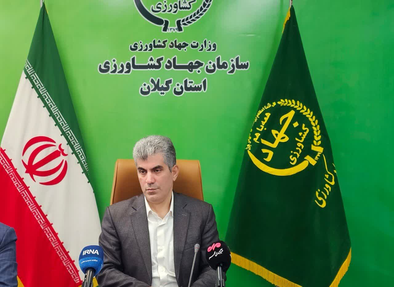 گیلان با تولید ۶.۶ میلیون تن محصول کشاورزی، نقش مهمی در امنیت غذایی کشور دارد