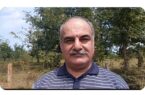 گپ ۷میلیون تنی نیاز صنایع چوب کشور