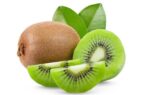 صادرات ۲۲۱۰ تنی کیوی گیلان